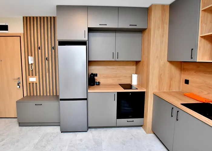 Apartamento Contemporary Homes With Balcony Sofía